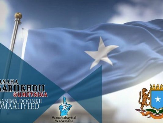 Ahmiyadda Todobaadka Xoriyadda Soomaaliya (Qabanqaabada Munaasabadda)